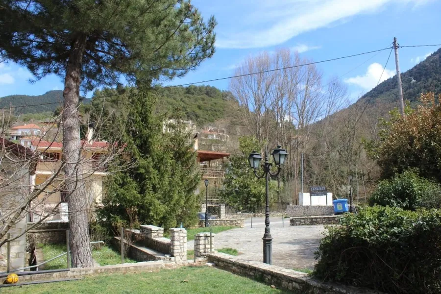 Η αυλή με το γρασίδι, τα πεύκα και τα φανάρια του δρόμου